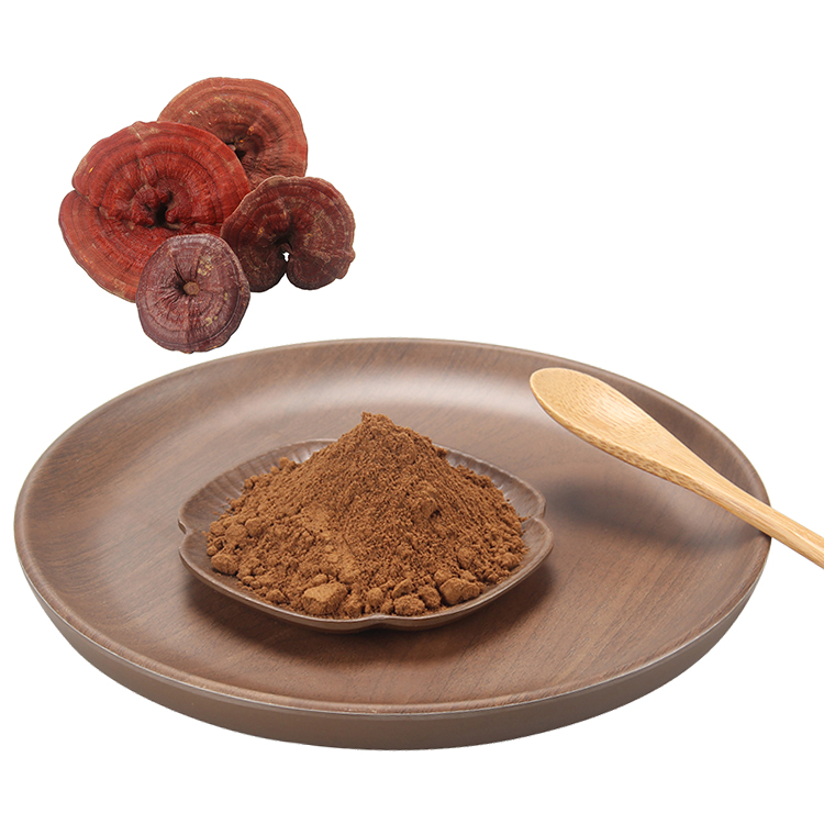 What Makes Our Reishi Mushroom Extract Truly Organic